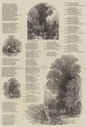 May Lyrics